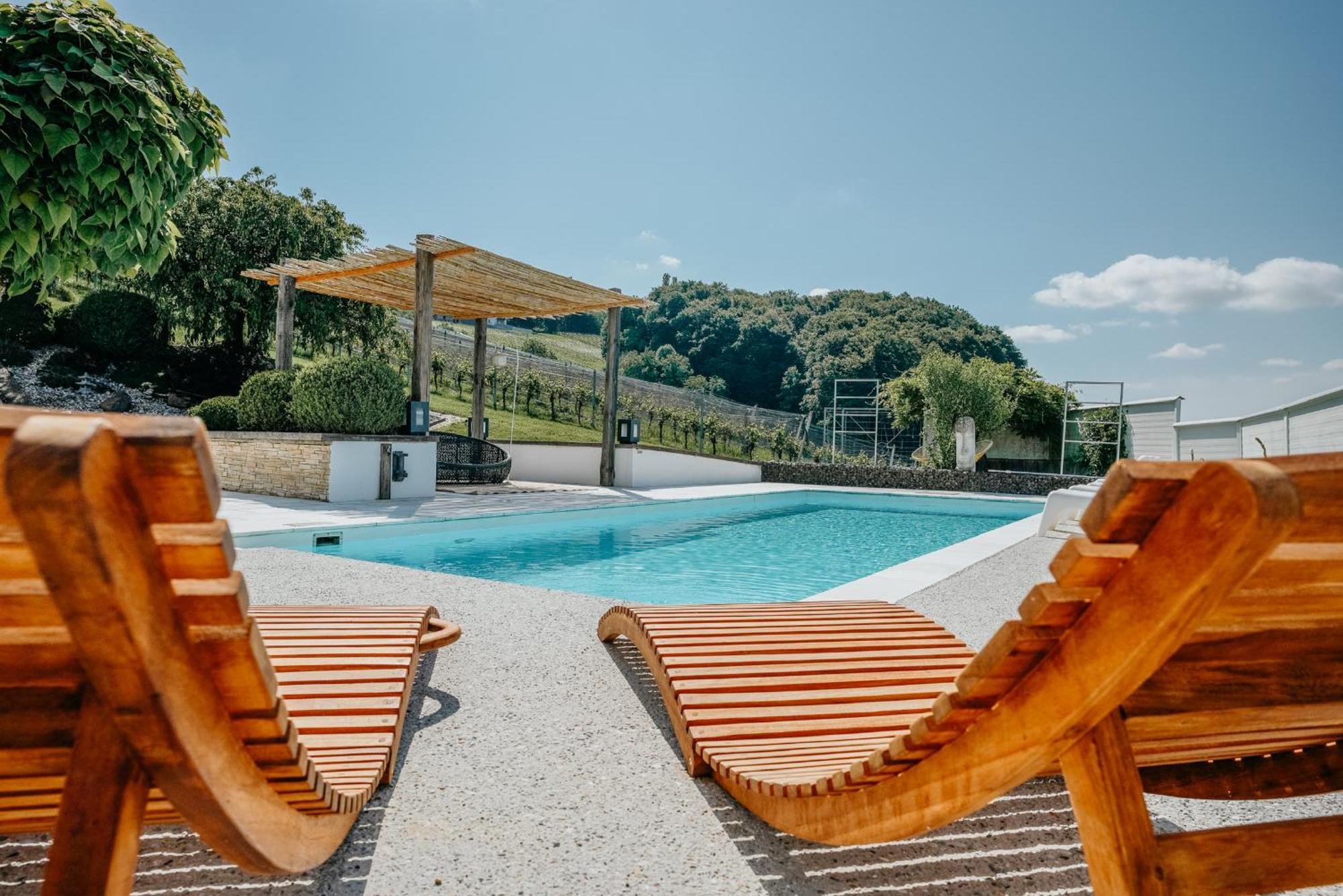 Weingut Holler Chalet Weingarten Spielfeld Bagian luar foto