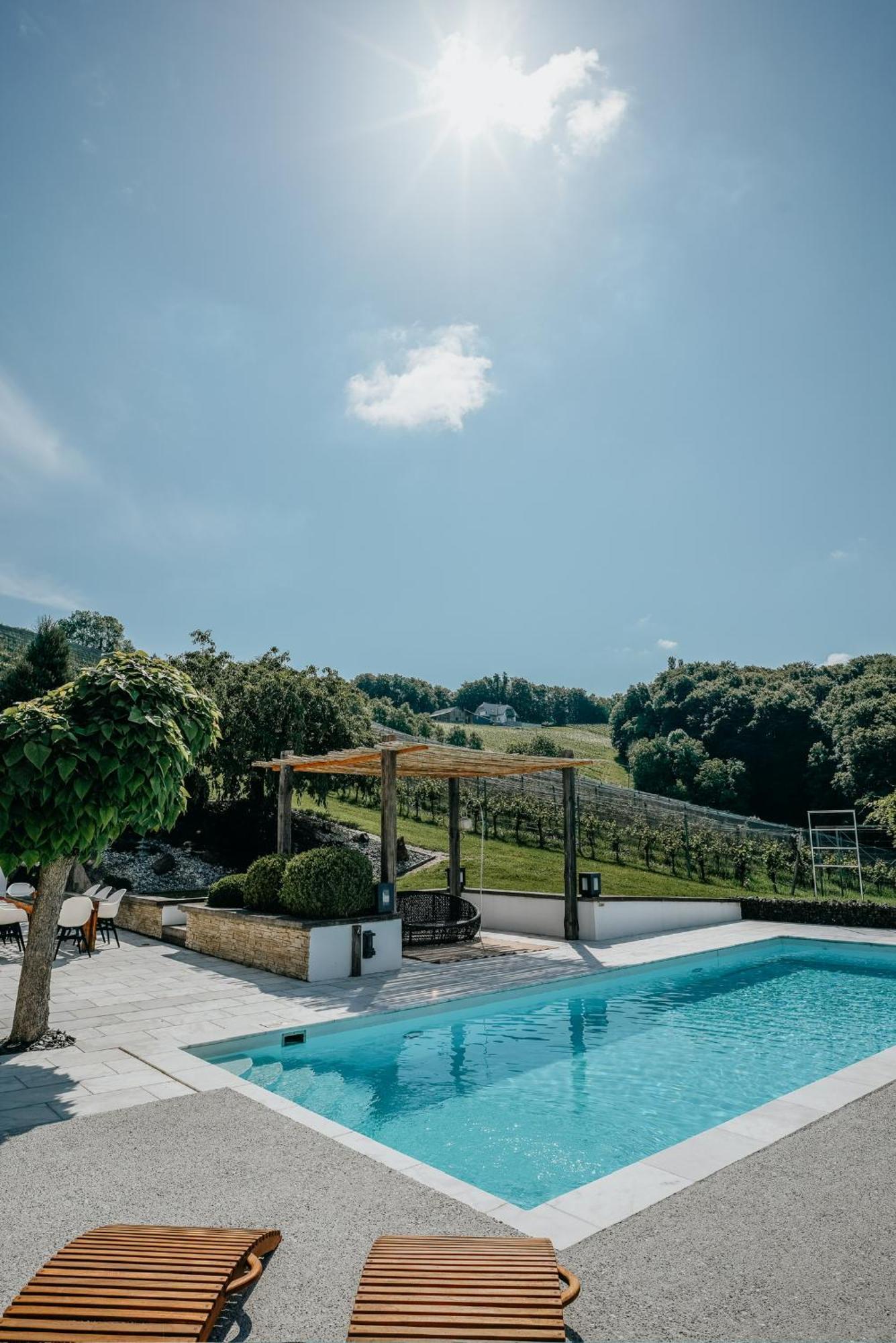Weingut Holler Chalet Weingarten Spielfeld Bagian luar foto